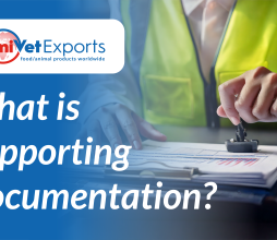 What is supporting documentation for exports?