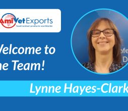 Meet our new People Manager - Lynne Hayes-Clarke