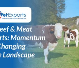 UK Beef & Meat Exports