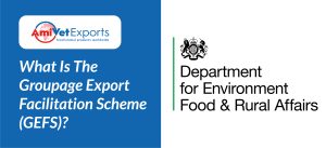 What is GEFS?
