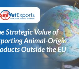 Strategic Value of Exporting