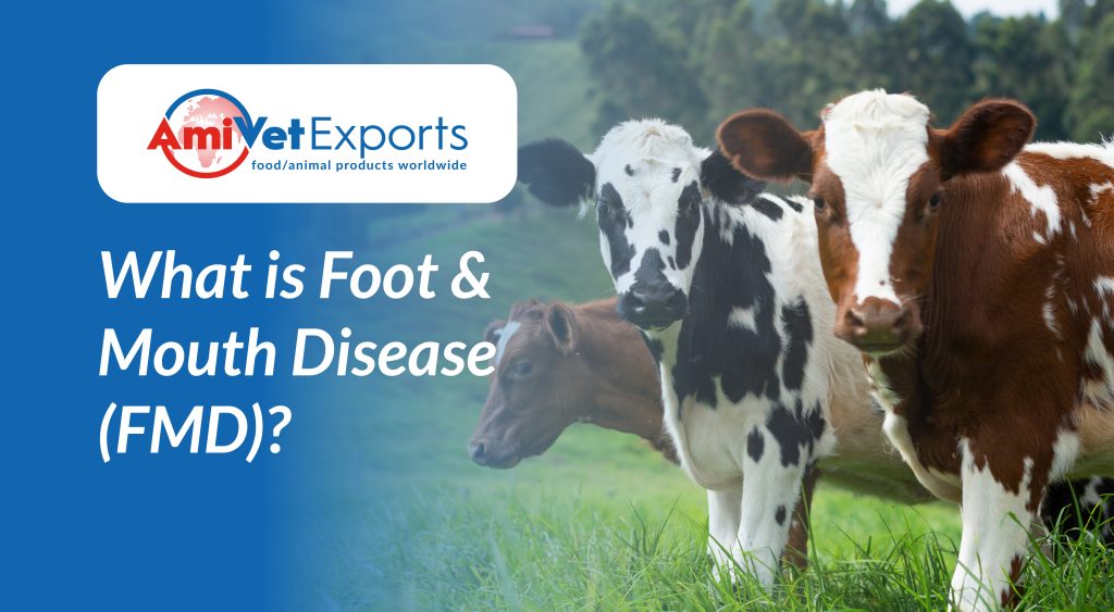 What is Foot & Mouth Disease (FMD)?