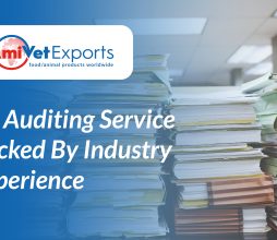 An Auditing Service Backed By Industry Experience