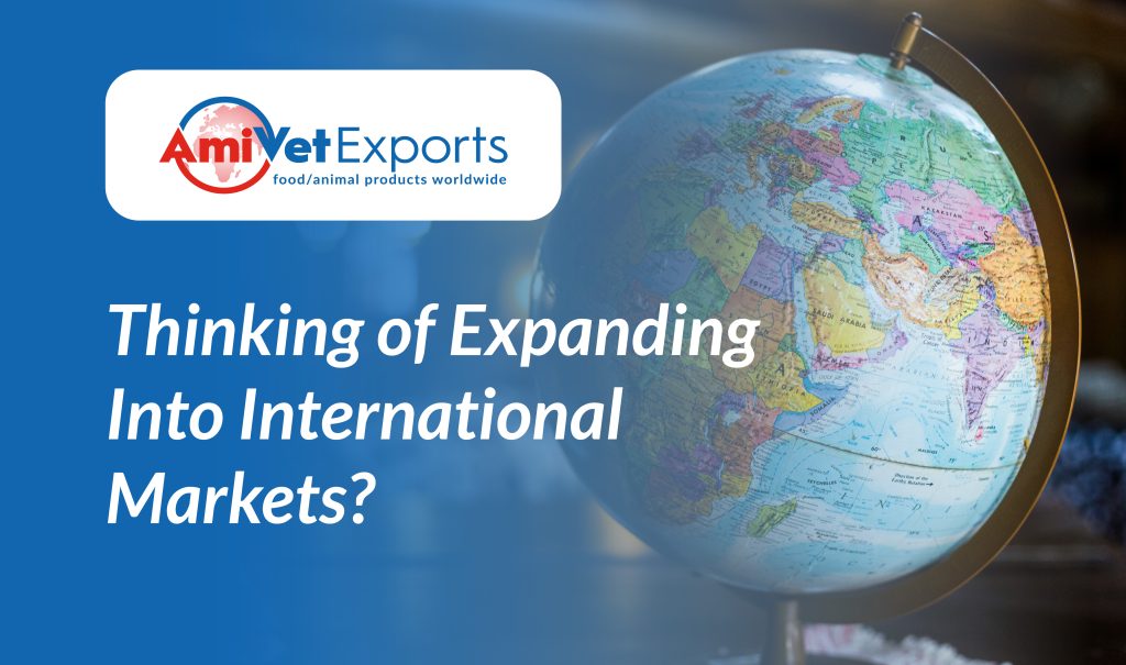 Thinking of Expanding Into International Markets?