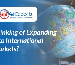Thinking of Expanding Into International Markets?