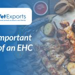 The Important Role of an EHC