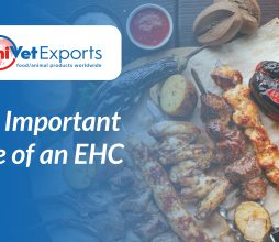 The Important Role of an EHC