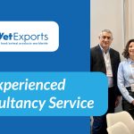An Experienced Consultancy Service
