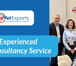An Experienced Consultancy Service