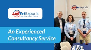 An Experienced Consultancy Service
