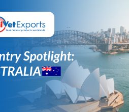 Country Spotlight: Australia