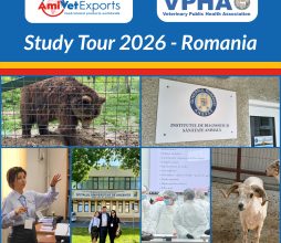 Study Tour 2026 - Romania