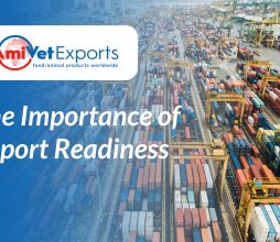 The Importance of Export Readiness