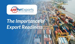 The Importance of Export Readiness