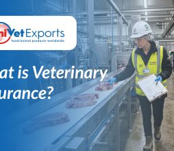 What is Veterinary Assurance?