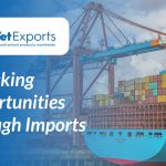Unlocking Opportunities Through Imports