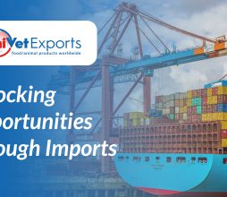 Unlocking Opportunities Through Imports