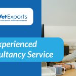 An Experienced Consultancy Service