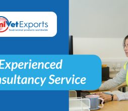 An Experienced Consultancy Service