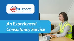 An Experienced Consultancy Service
