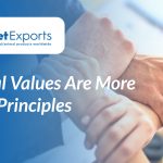 Ethical Values Are More Than Principles