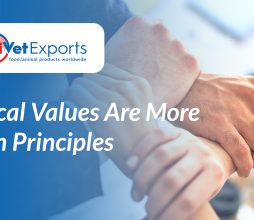Ethical Values Are More Than Principles