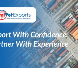 Customer Service Excellence