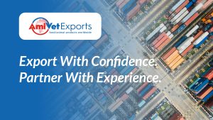 Customer Service Excellence