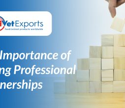 Strong professional partnerships = sustainable growth.