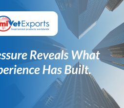 Pressure reveals what experience has built.