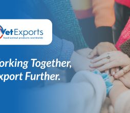 We Export Further