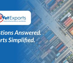 Questions Answered. Exports Simplified.