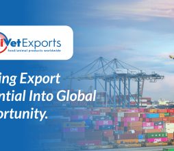 Turning Export Potential Into Global Opportunity.
