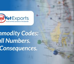 Commodity Codes: The Starting Point for Export Compliance.