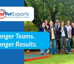 Stronger Teams. Stronger Results.