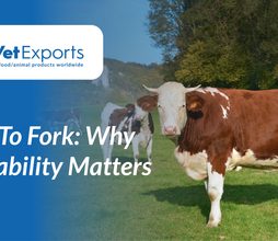 Farm To Fork: Why Traceability Matters