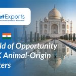 INDIA - A World of Opportunity
