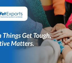 When Things Get Tough, Initiative Matters