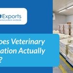 Why Does Veterinary Certification Actually Matter?