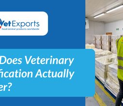 Why Does Veterinary Certification Actually Matter?
